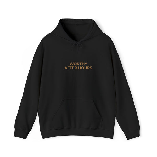 Worthy After Hours Embroidered Hoodie